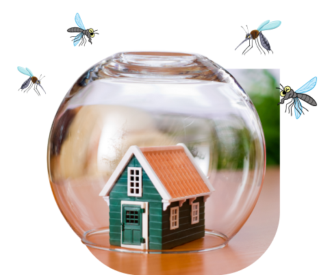 Proteggere la casa dalle zanzare Zamz-Zap